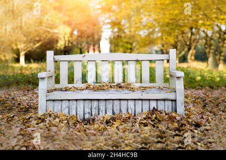 Banc blanc vintage dans le parc d'automne. Banque D'Images