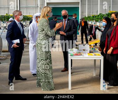 Abu Dhabi, 03 novembre 2021, la reine Maxima des pays-Bas à Pure Harvest à Abu Dhabi, le 03 novembre 2021, pour une visite de travail, au milieu du désert, Pure Harvest produit des tomates, des fraises et de la laitue de manière durable,Les technologies utilisées et l'expertise pour développer la serre ont été fournies par diverses parties néerlandaises photo: Albert Nieboer/Netherlands OUT/point de vue OUT Banque D'Images