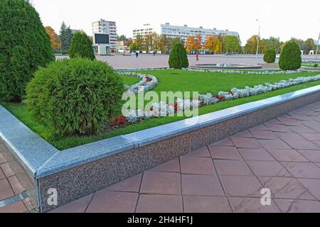 Des arbustes et des fleurs verts sur un parterre à fleurs dans une rue de la ville Banque D'Images