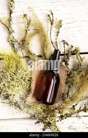 Bouteille de pipette brune avec teinture de médecine de lichen à base de plantes à l'intérieur du concept.Usnea barbata ou la barbe ou la teinture de lichen de la barbe d'un vieil homme.Pose à plat. Banque D'Images