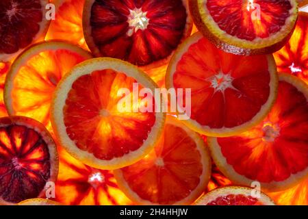 Fond de fruit orange rouge. Tranches d'orange juteuse. Nourriture. Concept d'été. Gros plan sur la lumière. Translucide. Banque D'Images