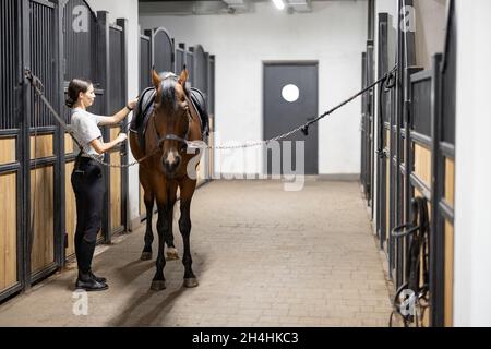 La femelle cavalier met des munitions sur son cheval en stable Banque D'Images