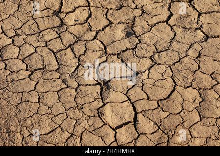 Texture du sol sec, fissures du sol sec en saison aride Banque D'Images