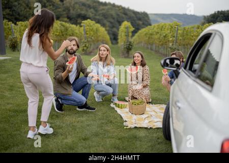 Amis pique-nique près des vignobles Banque D'Images