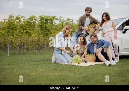 Amis pique-nique près des vignobles Banque D'Images