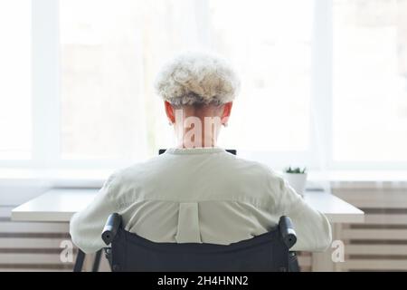 Portrait minimal de la femme âgée à cheveux blancs en fauteuil roulant utilisant un ordinateur portable à la maison, espace de copie Banque D'Images