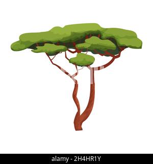 Acacia African Tree, Savannah plante dans le style de dessin animé isolé sur fond blanc.Feuillage vert, tige fine avec branches..Illustration vectorielle Illustration de Vecteur