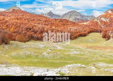 Niché dans les magnifiques Abruzzes, le Latium et le parc national Molise, Lago vivo est l'un des endroits les plus spectaculaires des Apennins Banque D'Images