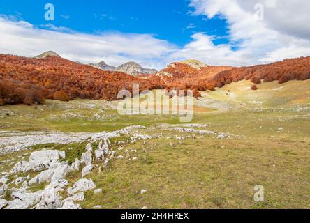 Niché dans les magnifiques Abruzzes, le Latium et le parc national Molise, Lago vivo est l'un des endroits les plus spectaculaires des Apennins Banque D'Images