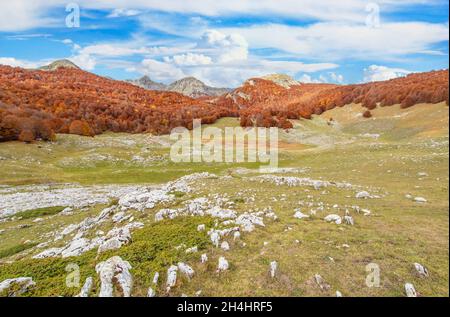 Niché dans les magnifiques Abruzzes, le Latium et le parc national Molise, Lago vivo est l'un des endroits les plus spectaculaires des Apennins Banque D'Images