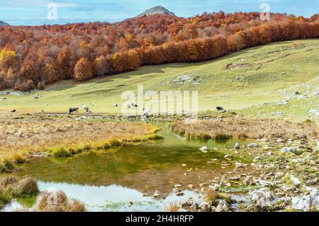 Niché dans les magnifiques Abruzzes, le Latium et le parc national Molise, Lago vivo est l'un des endroits les plus spectaculaires des Apennins Banque D'Images