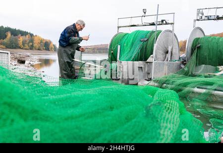 Stadtlauringen, Allemagne.03ème novembre 2021.Le pêcheur professionnel Peter Liebe répare un filet.La pêche du plus grand lac de la Basse-Franconie a commencé.La raison pour drainer le lac est, entre autres choses, des travaux d'assainissement et de dessalage.Credit: Nicolas Armer/dpa/Alay Live News Banque D'Images