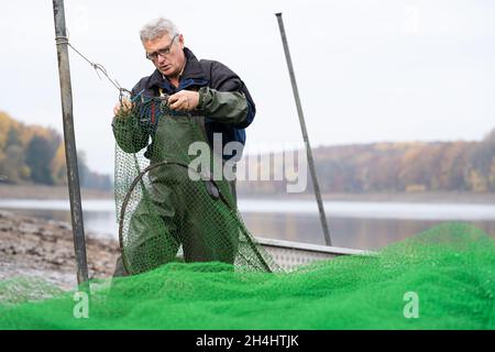 Stadtlauringen, Allemagne.03ème novembre 2021.Le pêcheur professionnel Peter Liebe répare un filet.La pêche du plus grand lac de la Basse-Franconie a commencé.La raison pour drainer le lac est, entre autres choses, des travaux d'assainissement et de dessalage.Credit: Nicolas Armer/dpa/Alay Live News Banque D'Images