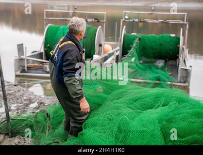 Stadtlauringen, Allemagne.03ème novembre 2021.Le pêcheur professionnel Peter Liebe prépare un filet pour l'utilisation.La pêche du plus grand lac de la Basse-Franconie a commencé.La raison pour drainer le lac est, entre autres choses, des travaux d'assainissement et de dessalage.Credit: Nicolas Armer/dpa/Alay Live News Banque D'Images