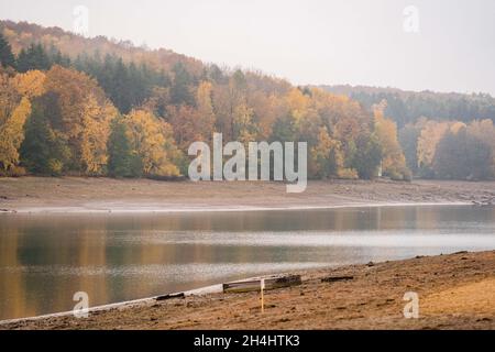 Stadtlauringen, Allemagne.03ème novembre 2021.Des arbres de couleur automatique entourent le lac Ellertshausen, qui a déjà été drainé dans une large mesure.La pêche du plus grand lac de la Basse-Franconie a commencé.La raison pour drainer le lac est, entre autres choses, des travaux d'assainissement et de dessalage.Credit: Nicolas Armer/dpa/Alay Live News Banque D'Images