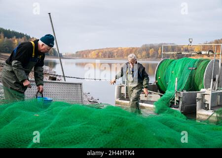 Stadtlauringen, Allemagne.03ème novembre 2021.Les pêcheurs professionnels Peter Liebe (r) et Norbert Dabelstein préparent un filet à utiliser.La pêche du plus grand lac de la Basse-Franconie a commencé.La raison pour drainer le lac est, entre autres choses, des travaux d'assainissement et de dessalage.Credit: Nicolas Armer/dpa/Alay Live News Banque D'Images