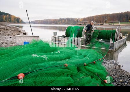 Stadtlauringen, Allemagne.03ème novembre 2021.Le pêcheur professionnel Peter Liebe prépare un filet pour l'utilisation.La pêche du plus grand lac de la Basse-Franconie a commencé.La raison pour drainer le lac est, entre autres choses, des travaux d'assainissement et de dessalage.Credit: Nicolas Armer/dpa/Alay Live News Banque D'Images