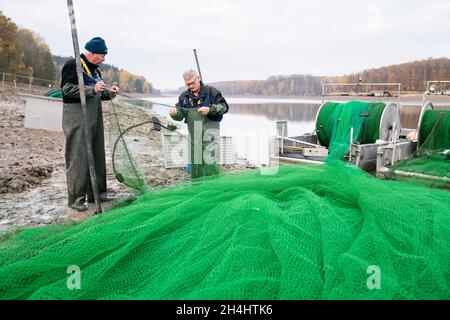 Stadtlauringen, Allemagne.03ème novembre 2021.Les pêcheurs professionnels Peter Liebe (r) et Norbert Dabelstein réparent un filet.La pêche du plus grand lac de la Basse-Franconie a commencé.La raison pour drainer le lac est, entre autres choses, des travaux d'assainissement et de dessalage.Credit: Nicolas Armer/dpa/Alay Live News Banque D'Images