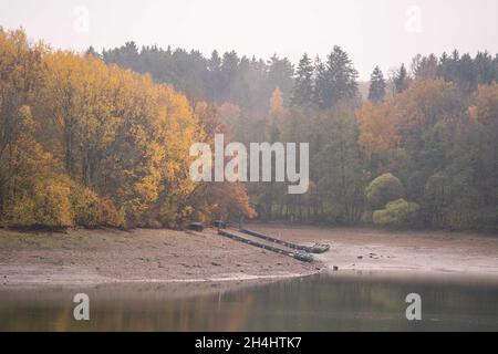 Stadtlauringen, Allemagne.03ème novembre 2021.Des arbres de couleur automatique entourent le lac Ellertshausen, qui a déjà été drainé dans une large mesure.La pêche du plus grand lac de la Basse-Franconie a commencé.La raison pour drainer le lac est, entre autres choses, des travaux d'assainissement et de dessalage.Credit: Nicolas Armer/dpa/Alay Live News Banque D'Images