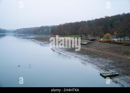 Stadtlauringen, Allemagne.03ème novembre 2021.Des arbres de couleur automatique entourent le lac Ellertshausen, qui a déjà été drainé dans une large mesure.La pêche du plus grand lac de la Basse-Franconie a commencé.La raison pour drainer le lac est, entre autres choses, des travaux d'assainissement et de dessalage.Credit: Nicolas Armer/dpa/Alay Live News Banque D'Images