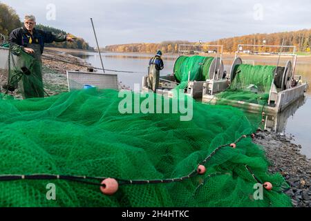 Stadtlauringen, Allemagne.03ème novembre 2021.Les pêcheurs professionnels Peter Liebe (l) et Norbert Dabelstein préparent un filet à utiliser.La pêche du plus grand lac de la Basse-Franconie a commencé.La raison pour drainer le lac est, entre autres choses, des travaux d'assainissement et de dessalage.Credit: Nicolas Armer/dpa/Alay Live News Banque D'Images