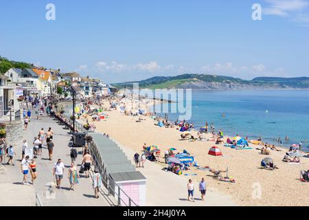 Familles sur la plage avec des tentes de plage pop up transats parasols de plage et paddle-boards sur la plage de sable à Lyme Regis Dorset Angleterre GB Europe Banque D'Images