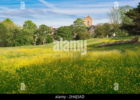 Prairie de fleurs sauvages, vue en été de la prairie de fleurs sauvages dans les jardins de la vallée, Harrogate, North Yorkshire, Angleterre, Royaume-Uni Banque D'Images