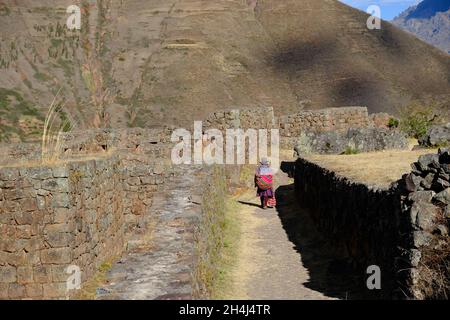 Pérou Vallée Sacrée Pisac - Parque Arqueologico Pisac ruines incas Banque D'Images