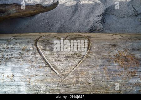 Coeur sculpté dans un tronc d'arbre.Preuve d'amour pour les amoureux.Le symbole de l'amour pour l'éternité. Banque D'Images