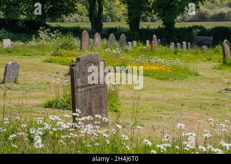 De retour à la nature, un cimetière géré, un cimetière de tombe, avec des zones laissées et mown saisonnier, avec la faune, la biodiversité, animal et plante, donné considéré Banque D'Images