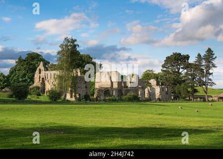 Ruines de l'abbaye, vue en été sur les ruines atmosphériques d'un monastère cistercien de 12th siècles (Abbaye de Jervaulx), North Yorkshire, Angleterre, Royaume-Uni Banque D'Images