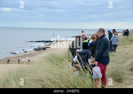 Phoques sur la plage de Horsey près de norwich dans norfolk angleterre Royaume-Uni Banque D'Images