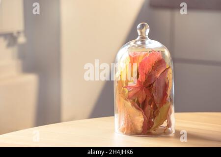 Petit bouquet de feuilles colorées d'automne en verre.Encore vie, décoration de saison.Décoration d'intérieur, agencement simple en feuilles, intérieur d'intérieur. Banque D'Images