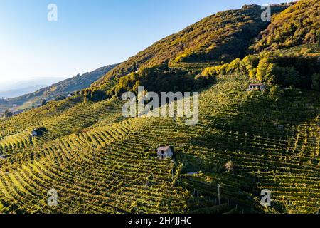 Valdobbiadene, collines et vignobles le long de la route Prosecco.Italie Banque D'Images