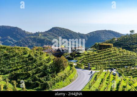 Valdobbiadene, collines et vignobles le long de la route Prosecco.Italie Banque D'Images