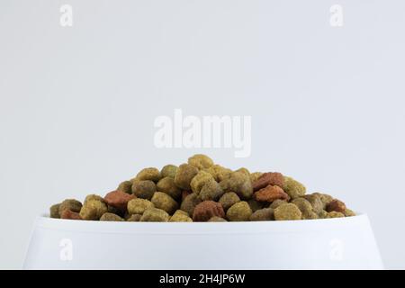 Nourriture pour un chien ou un chat.Aliments secs pour chatons ou chiots gros plan dans un bol blanc sur fond blanc.Concept - publicité de nourriture sèche pour animaux de compagnie.COP Banque D'Images