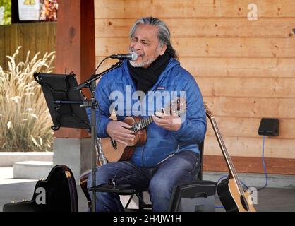 William Gregory Keale, ou Bill Keale, 65 ans, est un chanteur-compositeur américain hawaïen de Bend, Oregon, spécialisé dans la musique hawaïenne.Il est le cousin du chanteur hawaïen Israel Kamakawiwo?ole. Banque D'Images