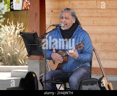 William Gregory Keale, ou Bill Keale, 65 ans, est un chanteur-compositeur américain hawaïen de Bend, Oregon, spécialisé dans la musique hawaïenne.Il est le cousin du chanteur hawaïen Israel Kamakawiwo?ole. Banque D'Images