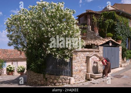 France, Alpes Maritimes, Mougins, femme buvant de l'eau de fontaine Banque D'Images