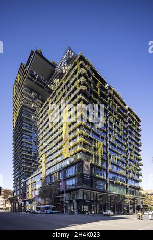 SYDNEY, AUSTRALIE - 30 septembre 2021 : une photo verticale des jardins verticaux sur la façade du complexe d'appartements et de boutiques de Central Park Mall à Syd Banque D'Images