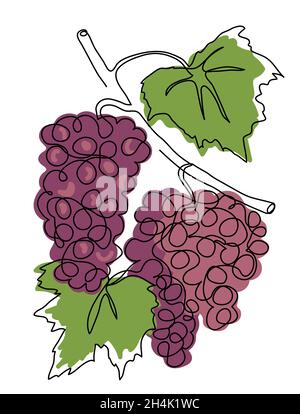 Grappes de raisin rouge un dessin d'art à une seule ligne.Illustration vectorielle continue du raisin rouge pour la conception d'étiquettes de jus ou de vin Illustration de Vecteur