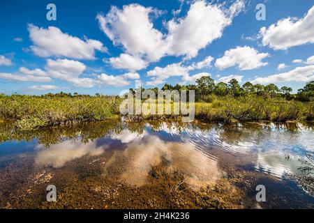 États-Unis, Floride, Orlando, Cape Canaveral, réserve naturelle nationale de Merritt Island Banque D'Images