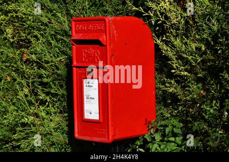 Une boîte à poste rouge vif contre le fond d'une haie de conifères lors d'une journée ensoleillée Banque D'Images