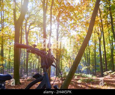 Guidon d'un vélo noir sur une promenade à vélo dans une forêt ensoleillée, exposée par une attention sélective Banque D'Images