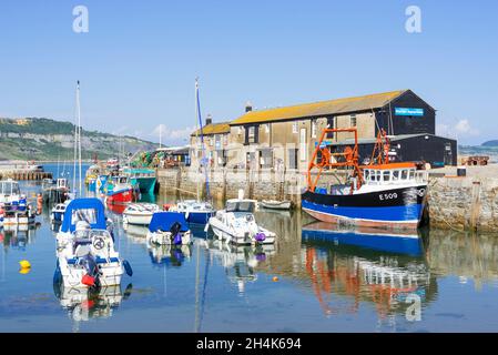 Bateaux de pêche et bateaux de plaisance dans le port de la côte jurassique avec le mur du port de Cobb brise-lames à Lyme Regis Dorset Angleterre GB Europe Banque D'Images