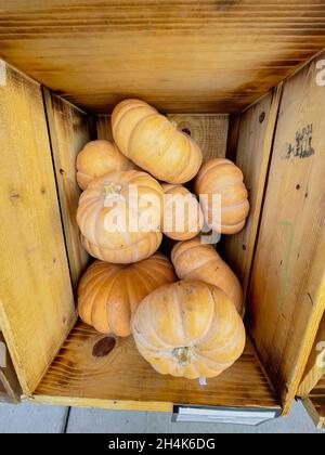 Citrouilles orange en caisse en bois, grenaille de haut en bas Banque D'Images