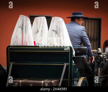 Femmes en calèche portant la mantilla espagnole typique et peigne dans un défilé à la foire de Fuengirola. Banque D'Images