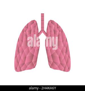 Poumons polygonaux isolés sur blanc.Concept abstrait de triangle bas poly.Organe interne humain.Icône vecteur médical. Illustration de Vecteur