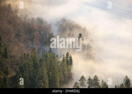 Belle photo de nuages brumeux flottant sur une forêt à flanc de montagne Banque D'Images