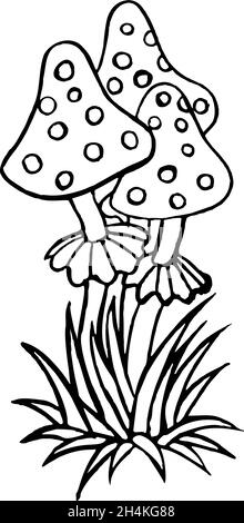 champignons, dessin de ligne, articles magiques volent agaric Illustration de Vecteur